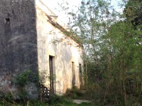 /album/asi-estamos-al-principio/img-2034-jpeg/