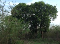 /album/asi-estamos-al-principio/img-2040-jpeg/