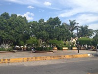 /album/asi-estamos-al-principio/parque1-jpeg/