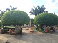 /album/asi-estamos-al-principio/parque2-jpeg/